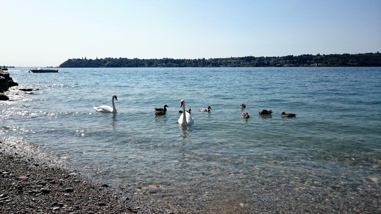 Brezza Di Lago 살로 외부 사진